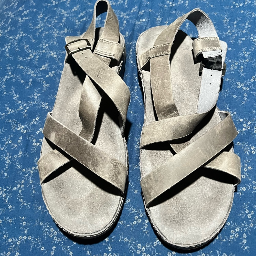 Women’s Wayfarer